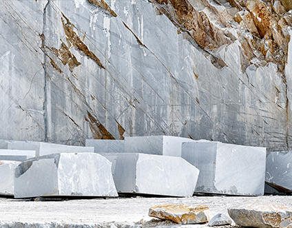 Patung Jiangsu Xinyesheng Co., Ltd.